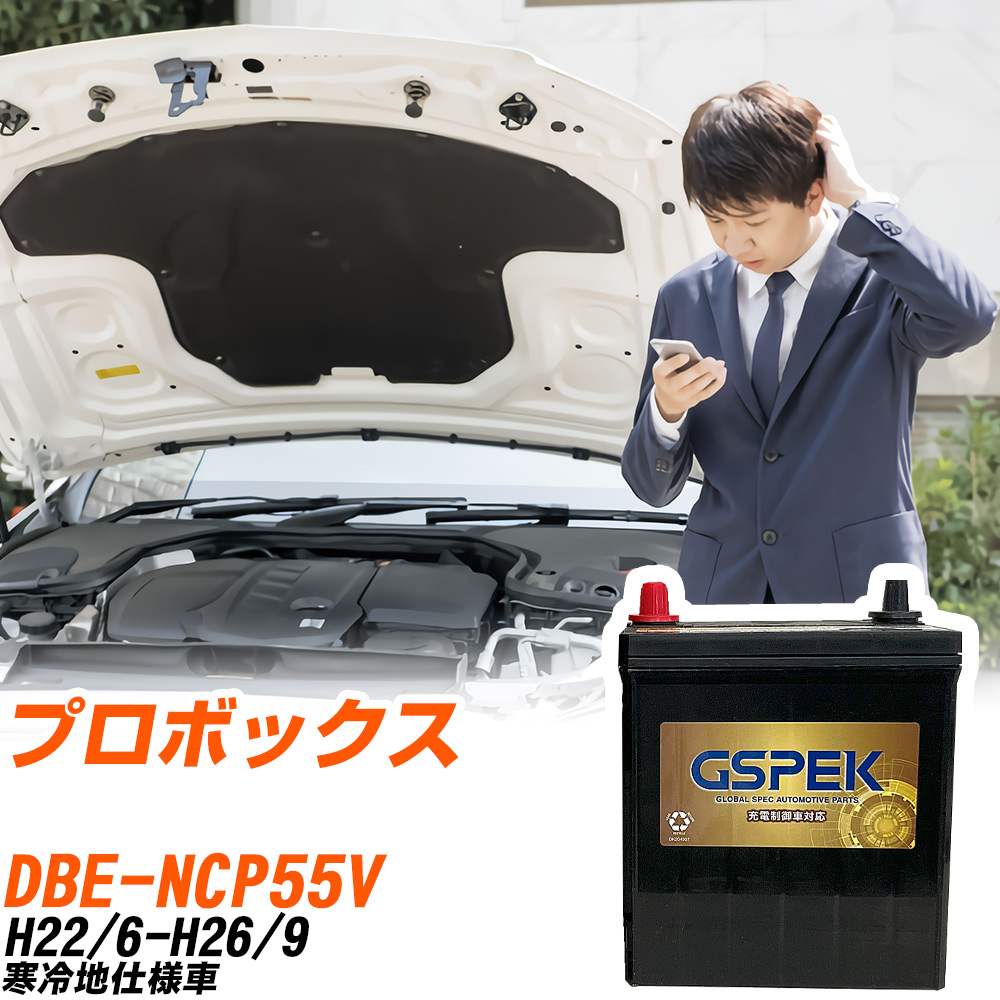 トヨタ プロボックス NCP55V H22/6-H26/9 寒冷地仕様車 バッテリー GSPEK 車 Gシリーズ G-65B24R/PL 【H04006】｜yadocari - ヤドカリ -