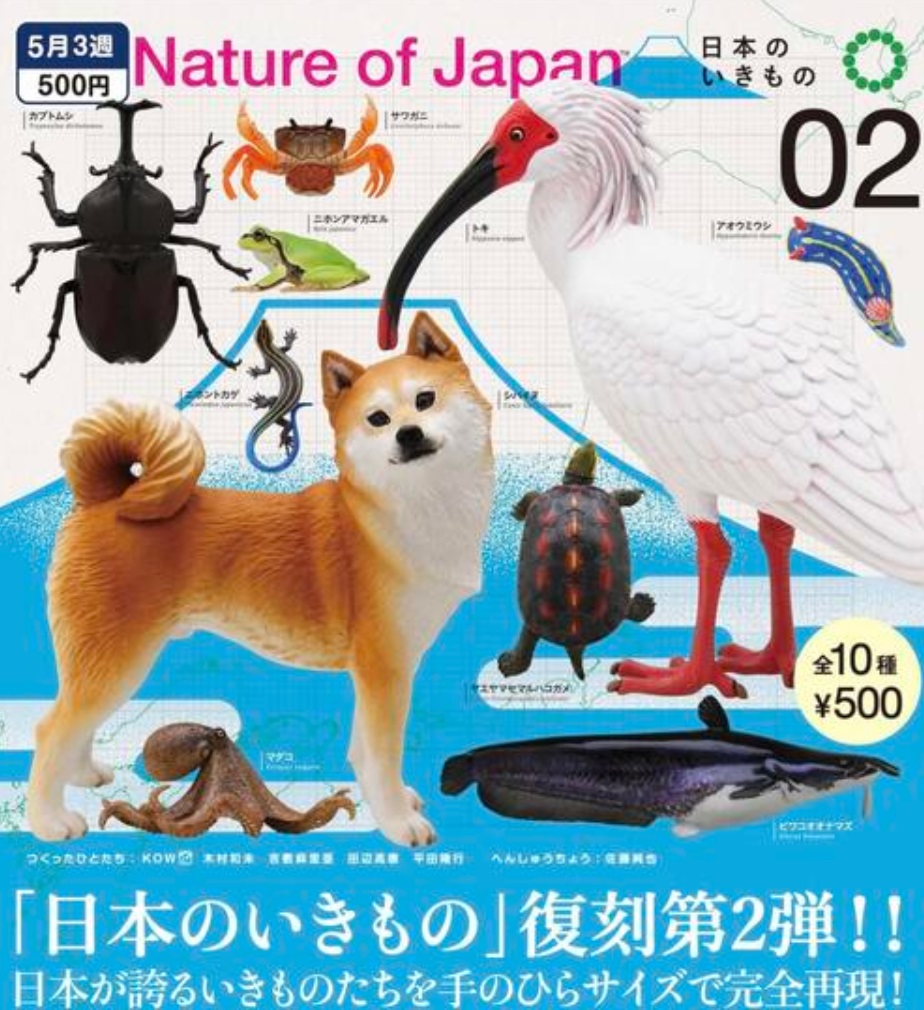 楽天市場】ネイチャーテクニカラー NATURE OF JAPAN 日本の