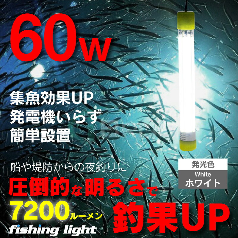 集魚灯 ホワイト 水中ライト イカ釣り シラスウナギ 集魚ライト 夜灯 水中ledライト Led集魚灯 水中集魚灯 照明 ライト 灯 60w Led イカ 12v 白