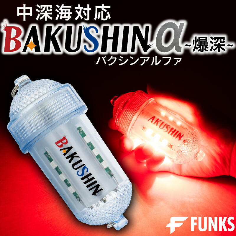 bakushina-r_000.jpg