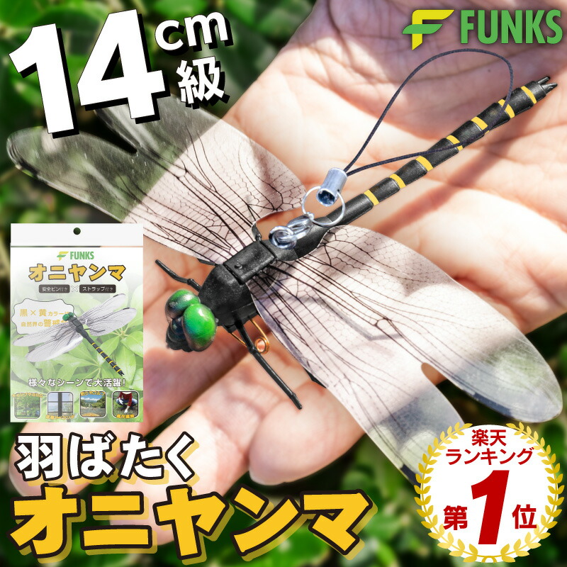 oniyanma-fly_00-.jpg
