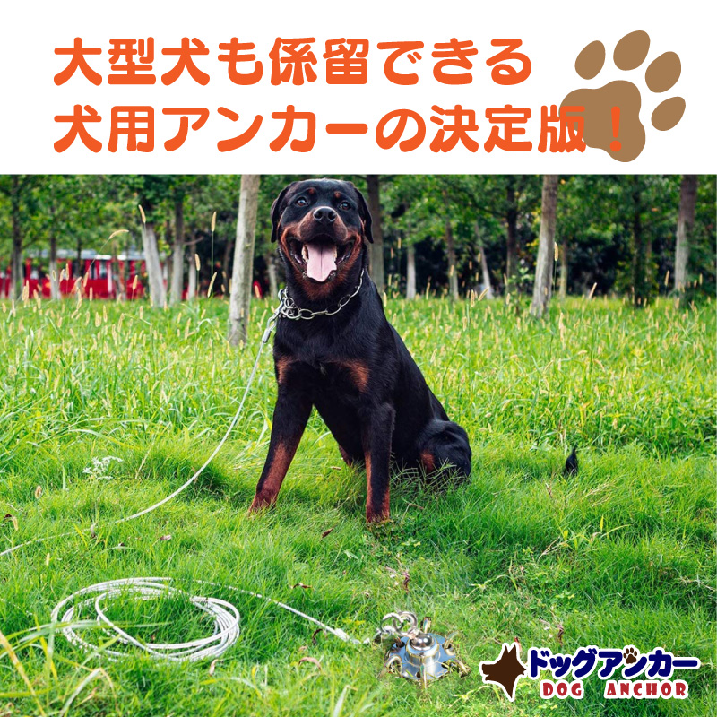 正規品送料無料 ドッグアンカー 犬用アンカー ドッグポール 大型犬 大型犬用 杭 係留 キャンプ アウトドア 犬 中型犬 小型犬 ペグ 回転 犬用 アンカー つなぐ リード 埋め込み 土 芝 コンクリート アスファルト ドッグ ポール ドライブ ペット用品 リードフック 係留