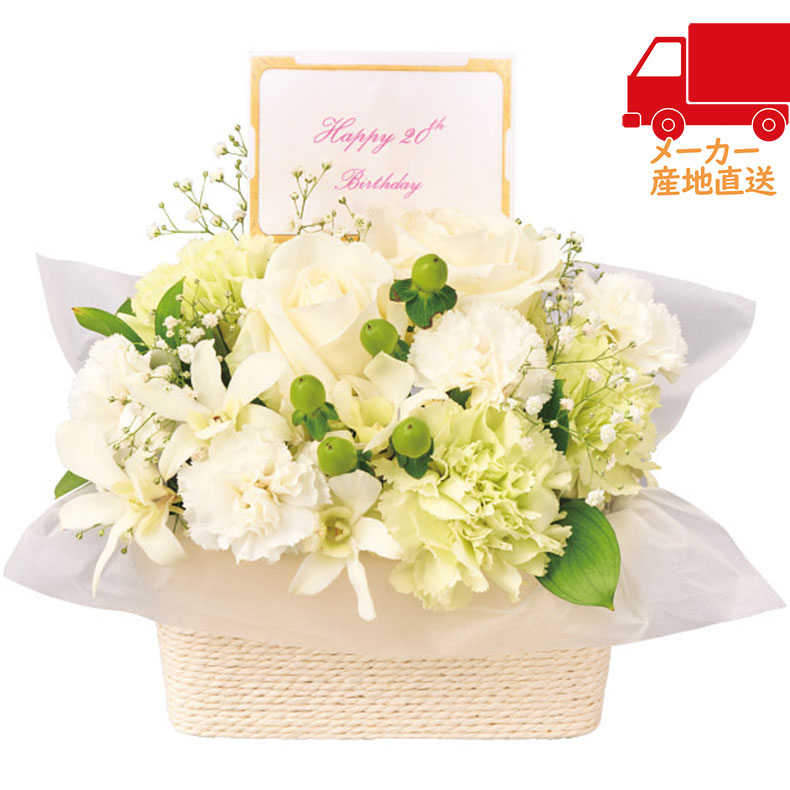 【送料無料 5981円以上1万円以下】 春ギフト プレゼント 卒業 入学 就職 新生活 バースデーフラワー（生花アレンジ）（お名入れ）室内装飾品 花・グリ－ン 生花花束
