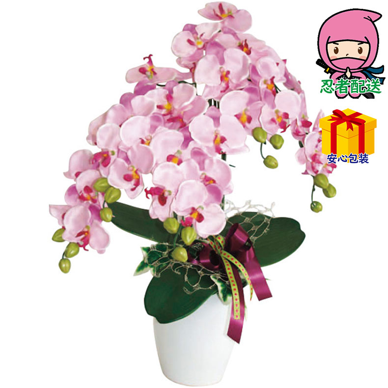 グリ ン 多数 人気商品 入学 お返し 5本立て 造花 光触媒加工 卒業コチョウラン 上司 入学 入学祝い 花 観葉植物 お返し 完全包装対応 お中元 全包装 安心包装 定番 大切な方へ ギフト 出産内祝い 御中元 おすすめ 節句 入学内祝 ア トアレンジ花 暑中見舞い 目上