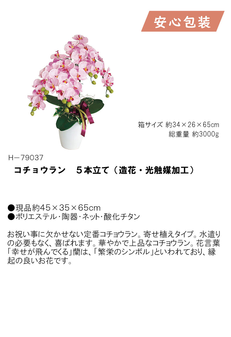 お返し 節句 入学 卒業コチョウラン 5本立て 造花 光触媒加工 ア トアレンジ花 花 グリ ン 室内装飾品 Prescriptionpillsonline Is