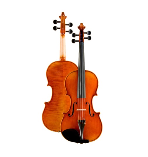 楽天市場】鈴木バイオリン エターナル・ヴァイオリン No.1100 4/4,3/4