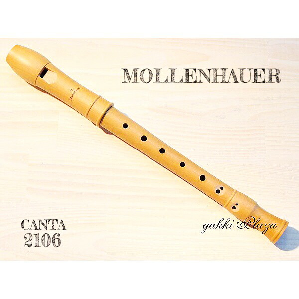 楽天市場】（ゼンオン） “メック・ワールド” ソプラノリコーダー S-01