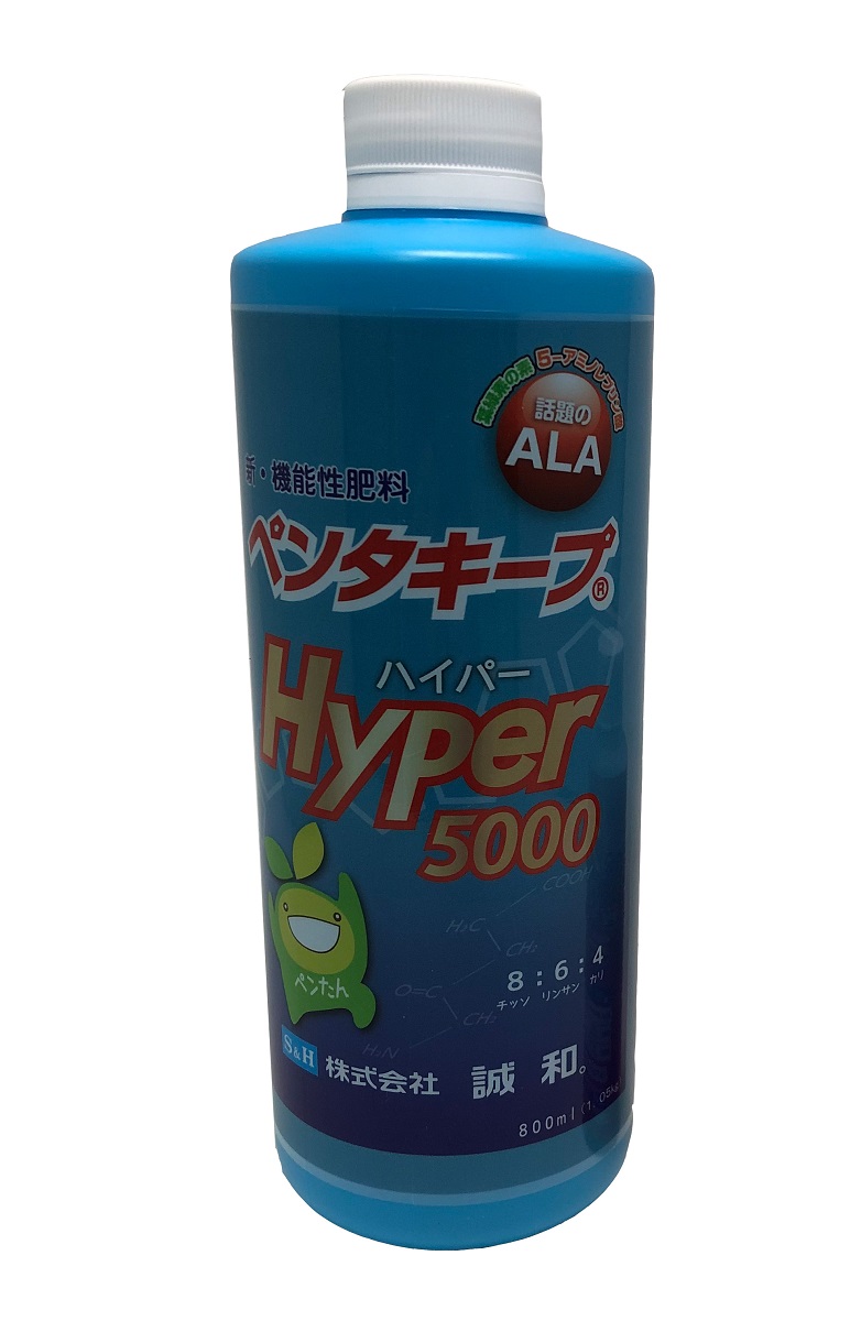 液体肥料 液肥 1 05kg 5 アミノレブリン酸 800ml Ala ペンタキープ 光合成 液 液体 肥料 観葉植物 送料無料 ｈｙｐｅｒ5000 人気急上昇 ペンタキープ