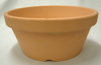 楽天市場】素焼き鉢 浅鉢（平鉢） 5.0号 10枚 植木鉢 鉢 蘭 らん ラン
