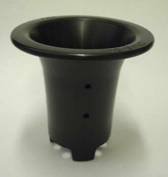 万年青鉢　4鉢 万年青鉢 4鉢 Amazon | 観葉植物：オモト 万年青*4号 洋風モダン鉢