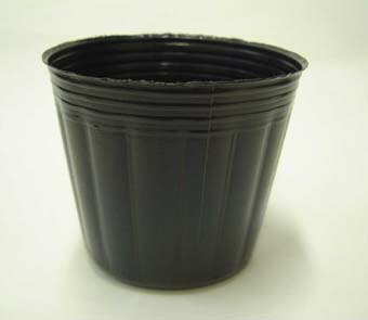 楽天市場】ポリポット 4cm 黒 100個 : 所沢植木鉢センター