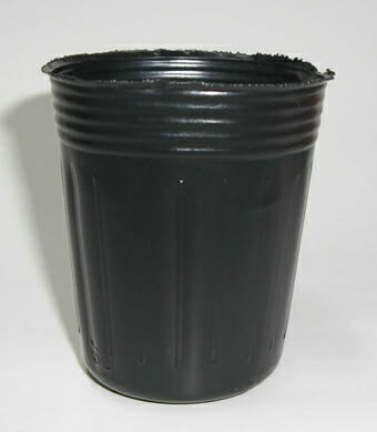 楽天市場】ポリポット 4cm 黒 100個 : 所沢植木鉢センター