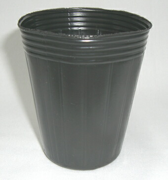 楽天市場】スリット8入りポリポット深 12cm 100個 : 所沢植木鉢センター