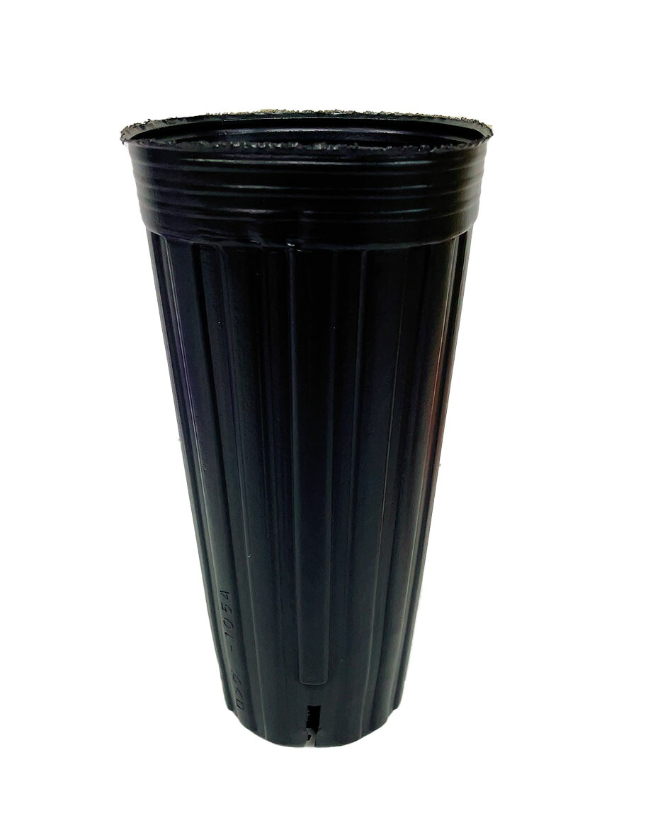 スリット4入りポリポット超ロング10.5ｃｍ 100個