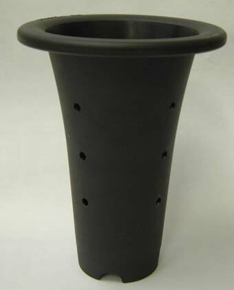 楽天市場】春蘭 プラ鉢 5．0号 植木鉢 鉢 蘭 らん ラン 園芸 : 所沢