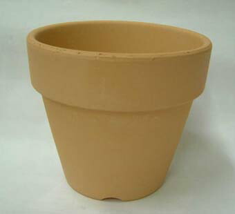 楽天市場】洋蘭 素焼き鉢 6．0号 1枚 植木鉢 鉢 蘭 らん ラン 園芸