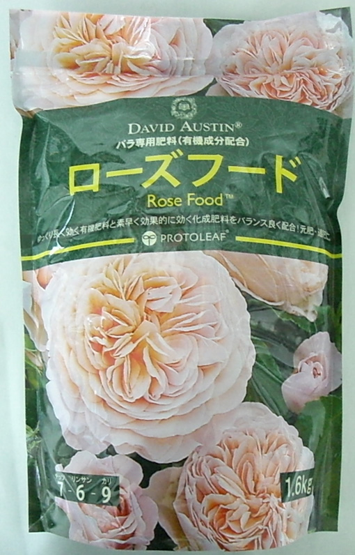 専用バラ img56850806.jpg