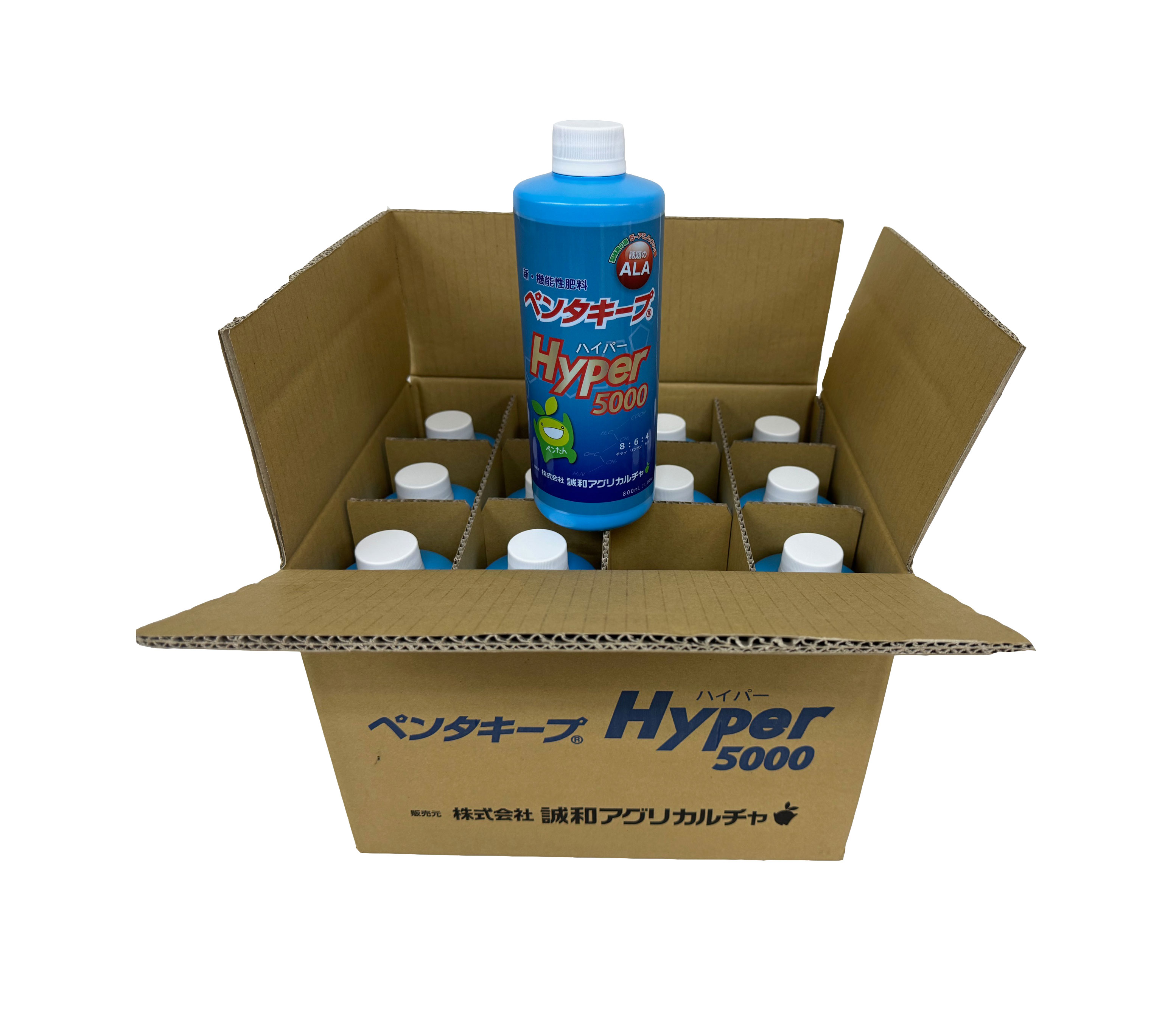 ペンタキープ ハイパー5000 800ml ペンタキープ ハイパー Hyper 5000 800ml (1.05kg) コスモ誠和