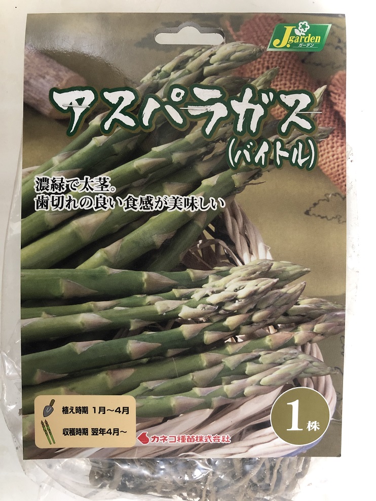 楽天市場 アスパラガス 1株苗 バイトル カネコ種苗 送料無料 ネコポス便 所沢植木鉢センター