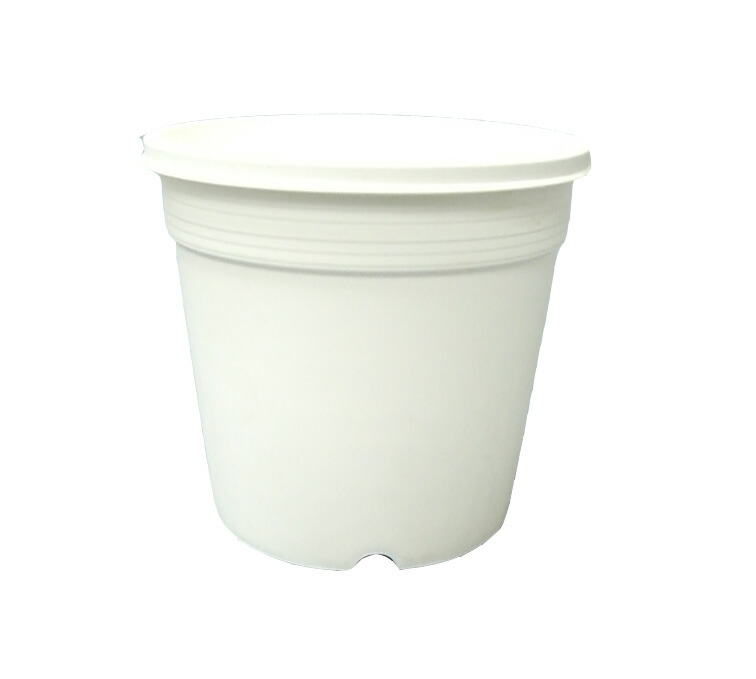 楽天市場】Sポット 白 7.5cm スリット鉢 プラ鉢 100個セット 多肉