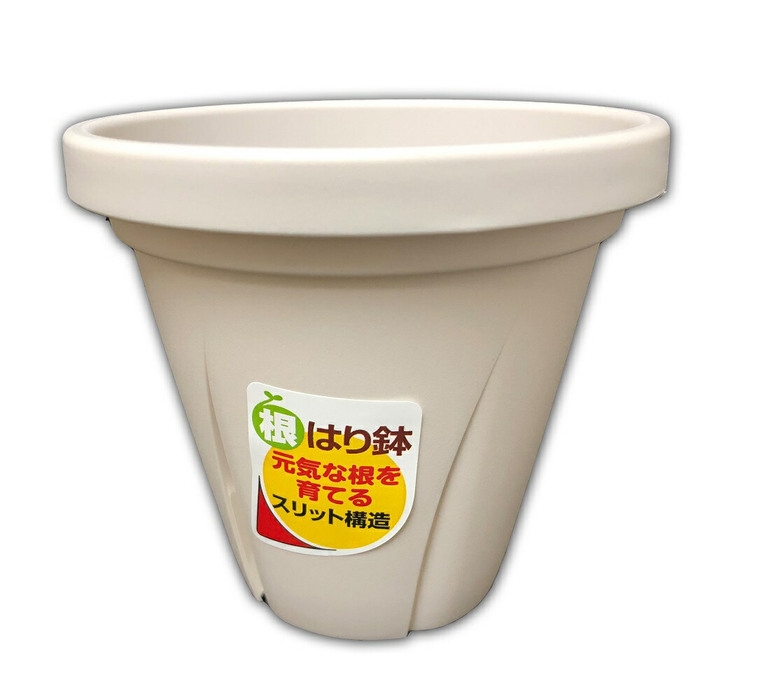 楽天市場】根はり鉢 白 4号 20個 スリット構造 プラ鉢 : 所沢植木鉢