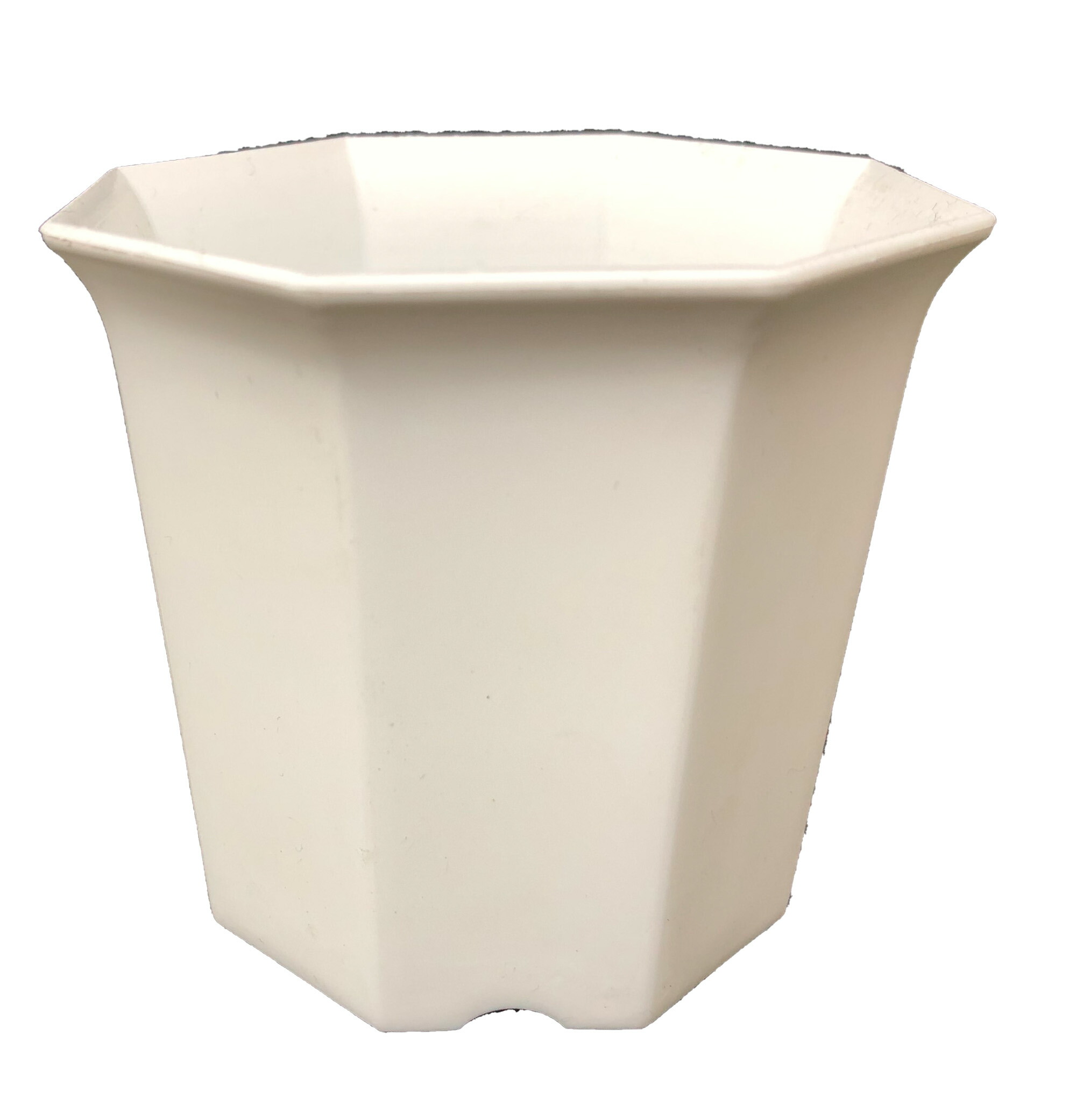 楽天市場】シャトル鉢 白 2寸 八角型 8角 500個セット 多肉 サボテン