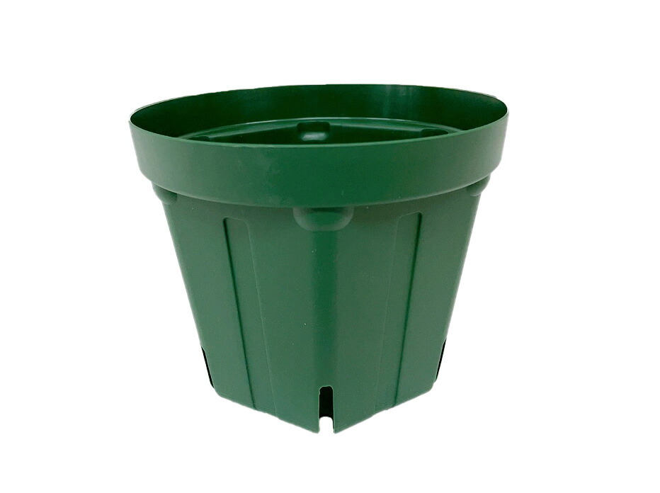スリット鉢 プラ鉢 15cm 5号 240個 送料無料|所沢植木鉢センター