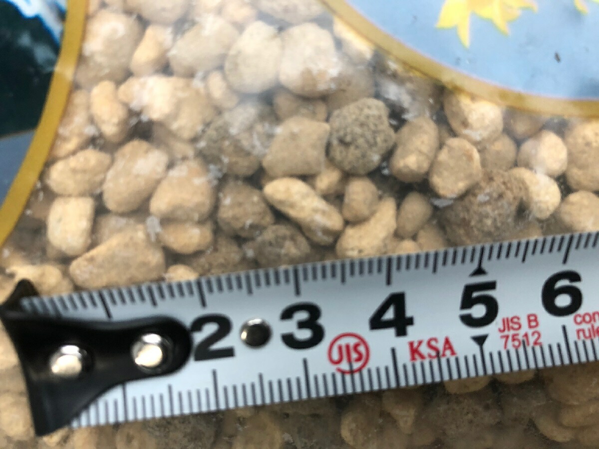 貨物輸送無料 ゴールド幽客 15l 3鞄 45l 陶冶泥 中粒 東洋蘭培養土 焼赤玉土 焼鹿沼土 春蘭 寒蘭 エビネ 自然らん Vned Org