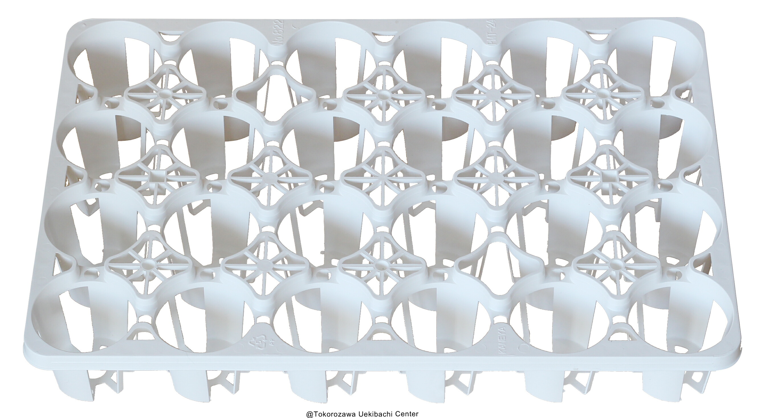 楽天市場】ポリポット 4cm 半透明（白） 100個 ビニールポット