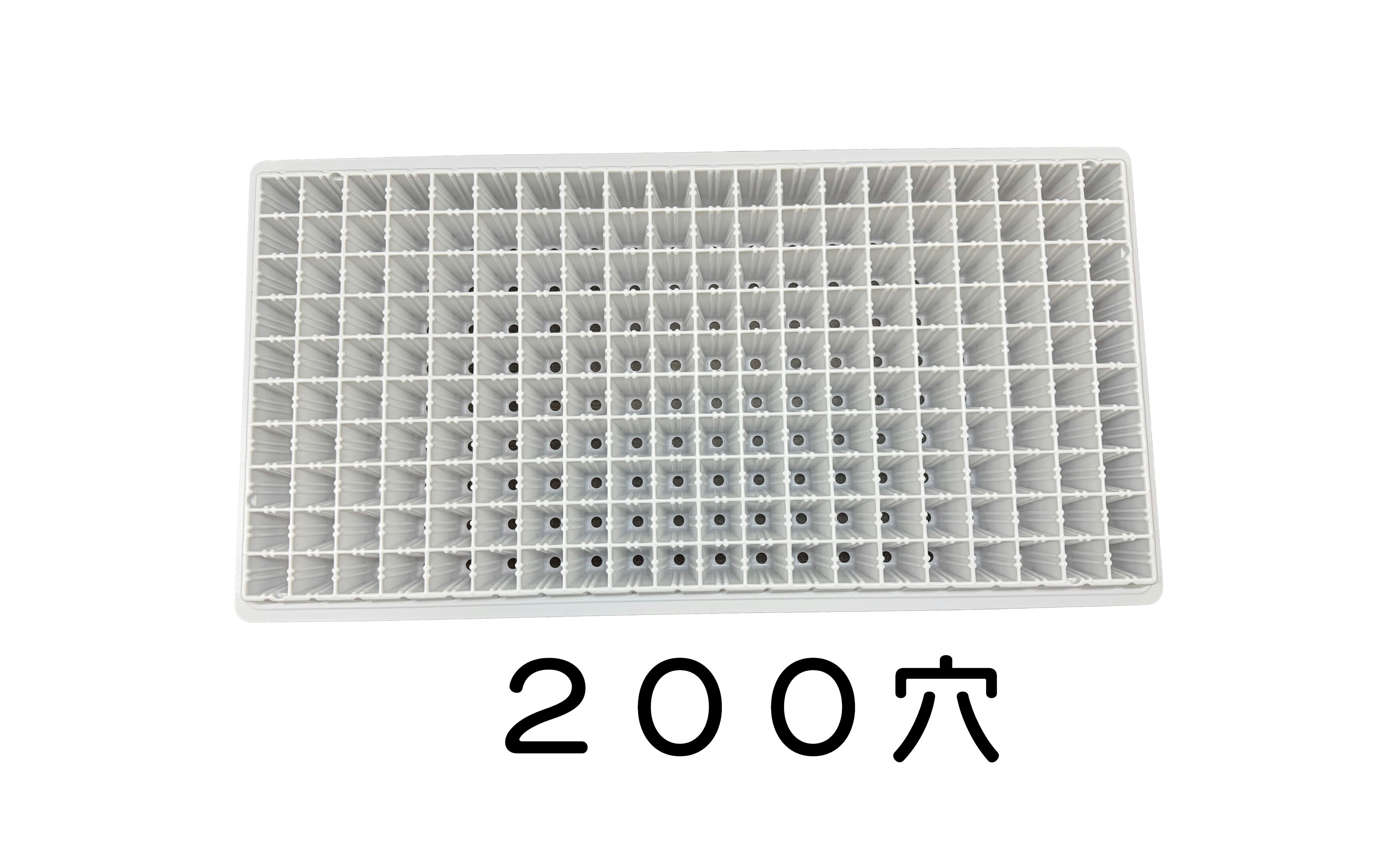 楽天市場】セルトレーPP 72穴 白 + 一寸鉢72個 セット : 所沢植木鉢