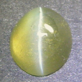 天然クリソベリルキャッツアイ1.35ct|Gems 支店