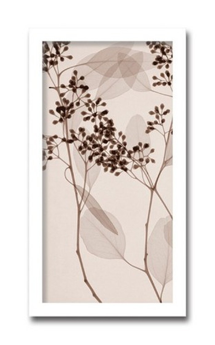 インテリアアート Steven N Meyers Eucalyptus II ヒモ付 AS-11424 店舗 カフェ ラウンジ ロビー ホテル 法人 kar-3097191s1 アートパネル アートボード 壁紙 装飾フィルム 送料無料 北欧 モダン 家具 インテリア ナチュラル テイスト 新生｜家具・インテリアのジェンコ
