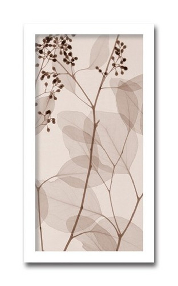 インテリアアート Steven N Meyers Eucalyptus III ヒモ付 AS-11425 店舗 カフェ ラウンジ ロビー ホテル 法人 kar-3097192s1 アートパネル アートボード 壁紙 装飾フィルム 送料無料 北欧 モダン 家具 インテリア ナチュラル テイスト 新|家具・インテリアのジェンコ