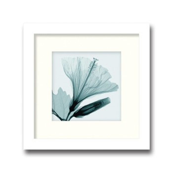 【百貨店大売り出し客体商いもの】室内装飾芸術 Steven N Meyers Hibiscus \u0026 Bud small ヒモ付 AS-11366 バス発着場 喫茶店 待ち合い室 待ち合い室 泊まり 法人 kar-3097220s1 芸術ダイアログボックス 芸術ゲーム盤 壁紙 かざり付ける写真フィルム 貨物輸送無料 北欧 今めかしい 調度品 室内装飾 自然的 テイ