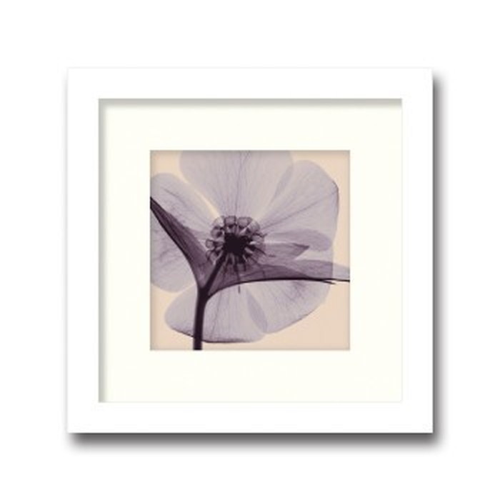 インテリアアート Steven N Meyers Hellebore small ヒモ付 AS-11380 店舗 カフェ ラウンジ ロビー ホテル 法人 kar-3097228s1 アートパネル アートボード 壁紙 装飾フィルム 送料無料 北欧 モダン 家具 インテリア ナチュラル テイスト 新|家具・インテリアのジェンコ