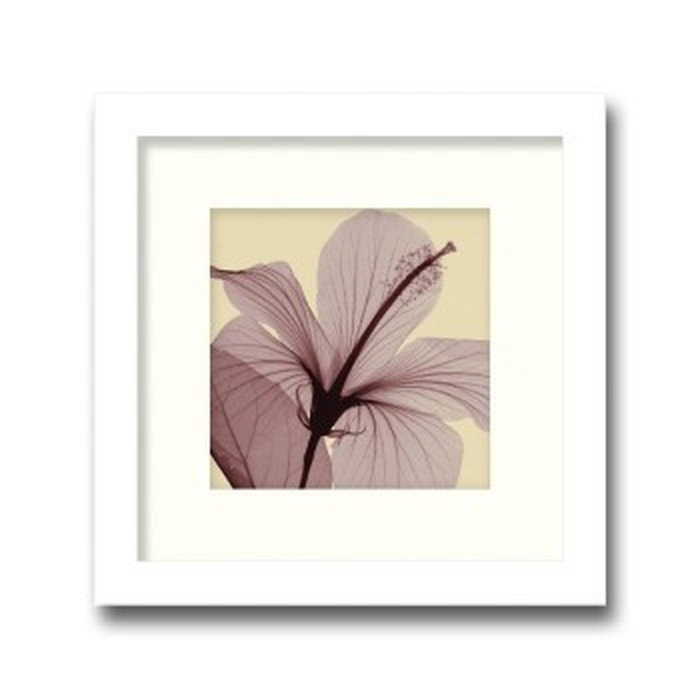 【百貨店大売り出し客体商いもの】室内装飾芸術 Steven N Meyers Hibiscus small ヒモ付 AS-11381 バス発着場 喫茶店 待ち合い室 待ち合い室 泊まり 法人 kar-3097229s1 芸術ダイアログボックス 芸術ゲーム盤 壁紙 かざり付ける写真フィルム 貨物輸送無料 北欧 今めかしい 調度品 室内装飾 自然的 テイ同盟罷業
