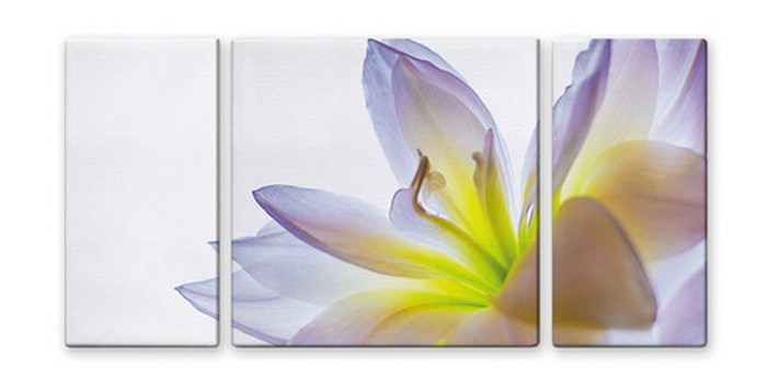 CANVAS ART キャンバスアート lily ユリ Lサイズ W1000×H500 3枚組 US-2012 店舗 カフェ ラウンジ ロビー ホテル 法人 kar-4999362s2 アートパネル アートボード 壁紙 装飾フィルム 送料無料 北欧 モダン 家具 インテリア ナチュラル テイ|家具・インテリアのジェンコ