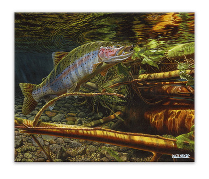 楽天市場】【スーパーセール対象商品】八百板浩司 ブラックバス2 CY