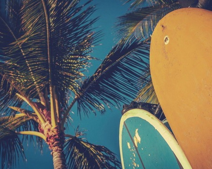 楽天市場】キャンバスアート Petit Canvas Art サーフボード