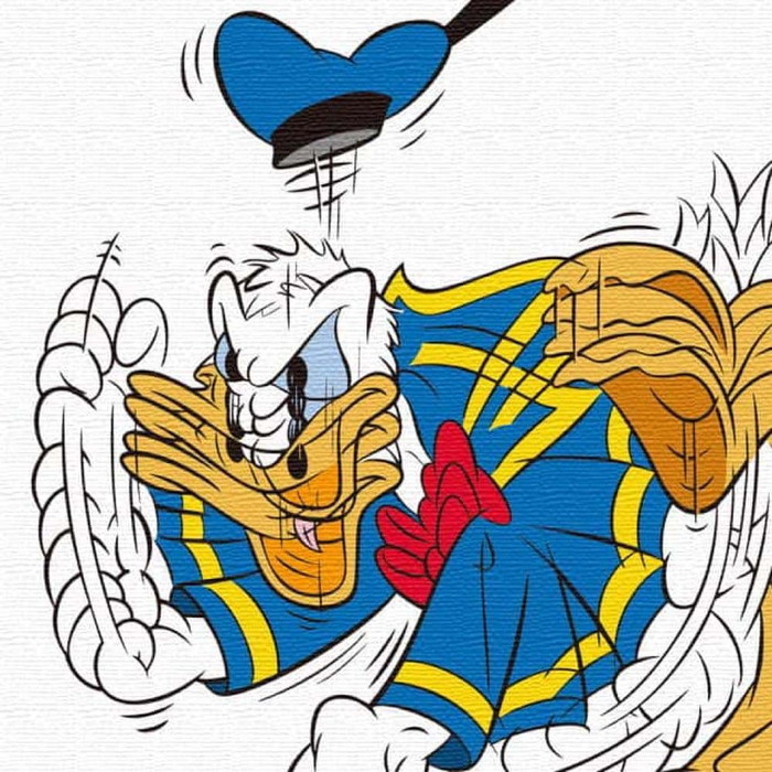 楽天市場 ラッピング付き ディズニー ドナルドダック 30cm 30cm ホワイト Dsny 12 03 Mサイズ アートパネル ファブリックパネル アートボード インテリアパネル 壁掛け 日本製 Lib Dsny 12 03 M 送料無料 北欧 モダン 家具 インテリア ナチュラル テイスト 新