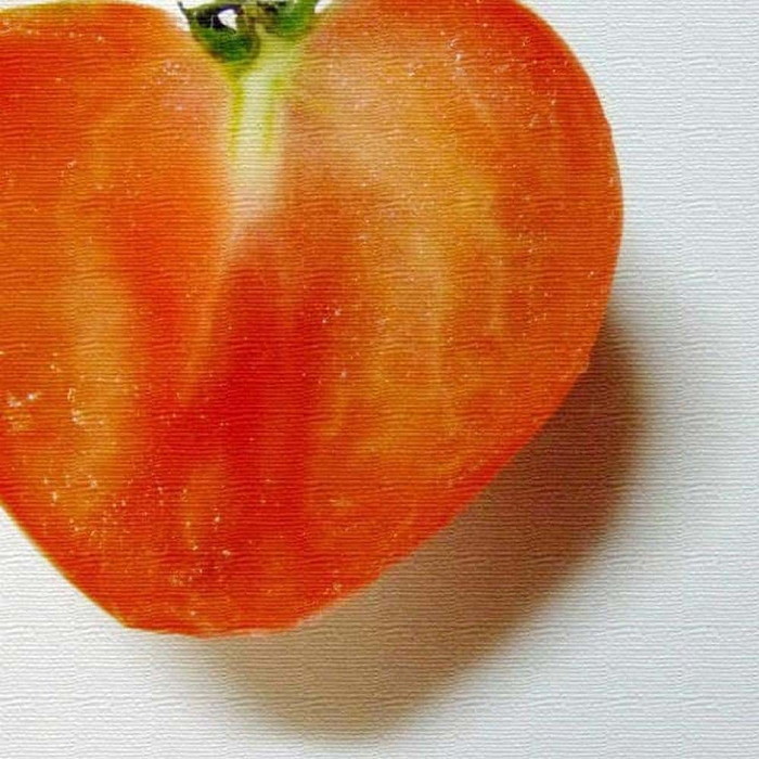 野菜 モチーフ ファブリック VEGETABLE FRUIT Lサイズ 57cm×57cm アートパネル ファブリックパネル アートボード 壁掛け 日本製 ラッピング付き 店舗 カフェ ラウンジ ロビー ホテル 法人 lib-pho-0003-l アートパネル アートボード 壁紙