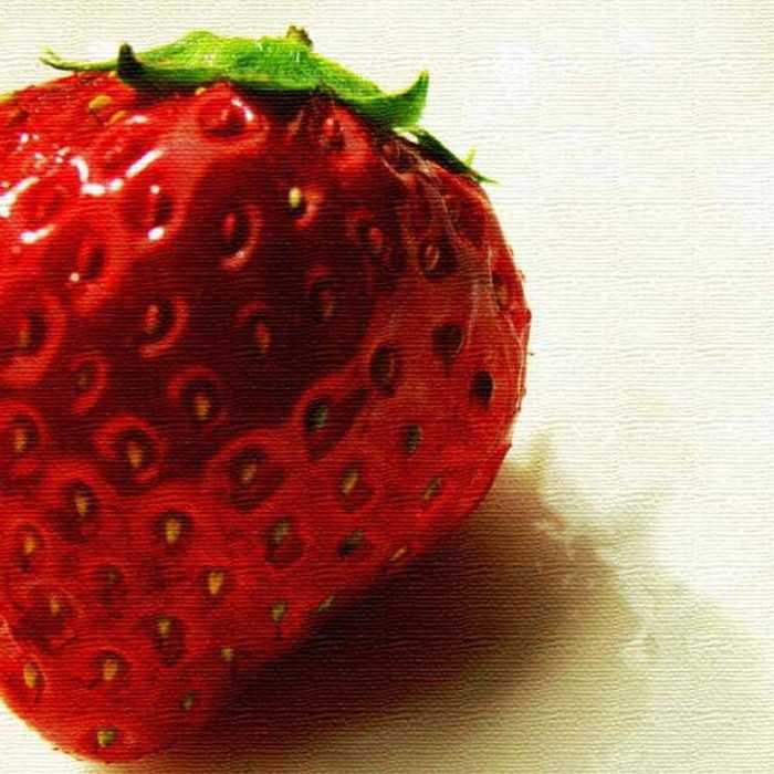 イチゴ VEGETABLE FRUIT Lサイズ 57cm×57cm アートパネル ファブリックパネル アートボード 壁掛け 日本製 ラッピング付き 店舗 カフェ ラウンジ ロビー ホテル 法人 lib-pho-0010-l アートパネル アートボード 壁紙 装飾フィルム 送料無