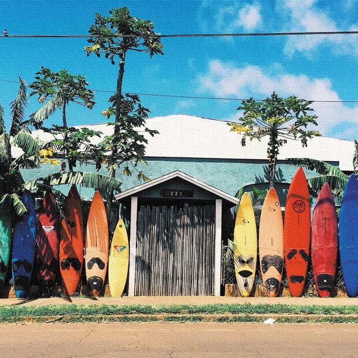 楽天市場】キャンバスアート Petit Canvas Art サーフボード