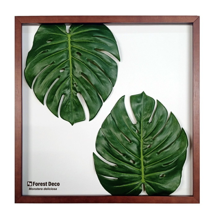 インテリアグリーンアート ForestDecoL Monstera Deliciosa5 LP-1005 フレームカラー ブラウン 店舗 カフェ ラウンジ ロビー ホテル 法人 kar-9326787s1 アートパネル アートボード 壁紙 装飾フィルム 送料無料 北欧 モダン 家具 インテリ｜家具・インテリアのジェンコ