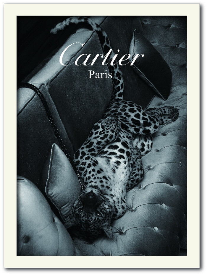 額装済/Cartier RoseClip カルティエコレクション/アートポスター カルティエ展 限定 公式グッズ ポストカード 18枚セット ケース