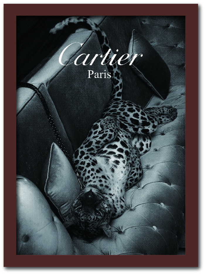 楽天市場】カルティエ CARTIER Fashion Photography series2 FS