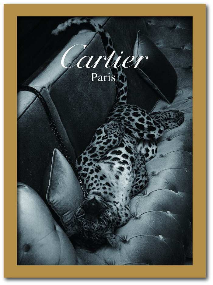 Cartier ジャガー デザイン プレート 楽天市場】カルティエ CARTIER Fashion Photography series2 FS