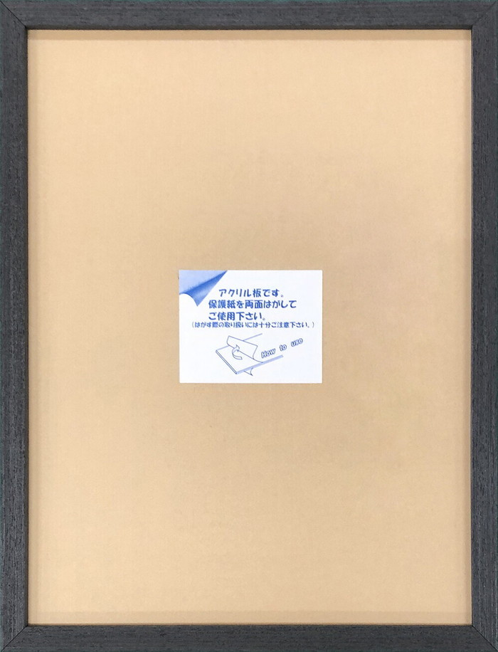 額縁 デッサンサイズ ヌーベルフレーム ブラック Novel Frame Black 8x10 A入 224x276x32mm 224x276x32mm FNV-62159 bic-9059302s1