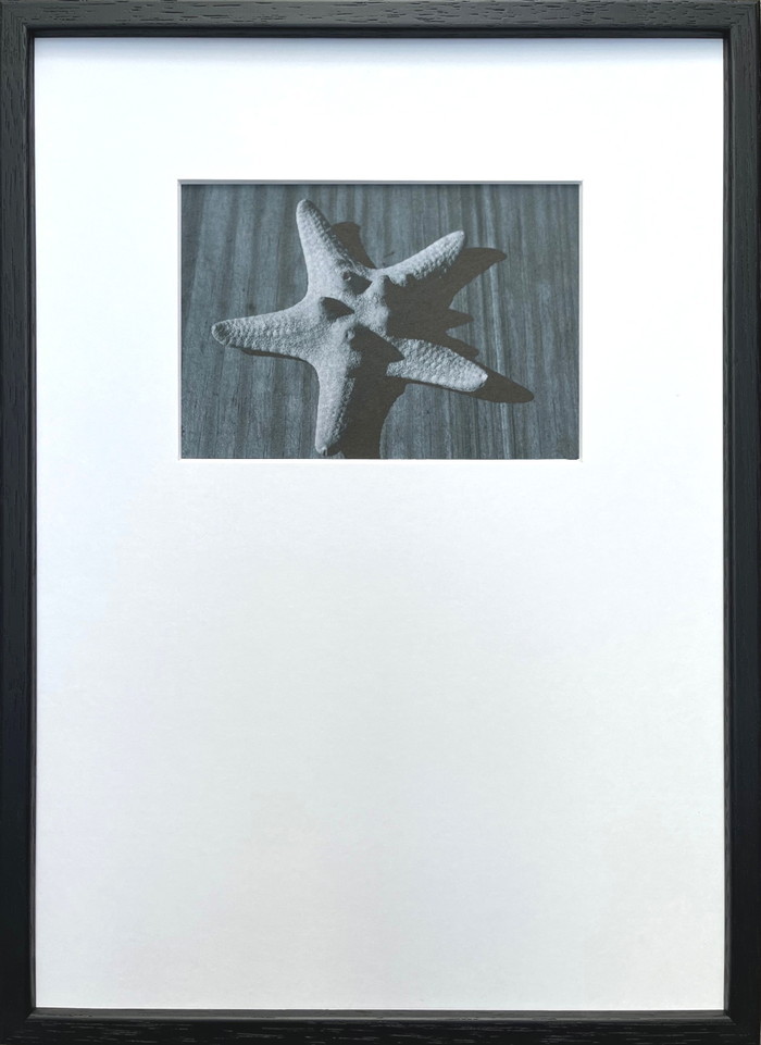 フォトグラフィ アート ヒトデ Photography art ヒトデ 275x382x20 snw-ipg-53256 アートパネル アートボード 壁紙 装飾フィルム 送料無料 北欧 モダン 家具 インテリア ナチュラル テイスト 新生活 オススメ おしゃれ 後払い 5,885円