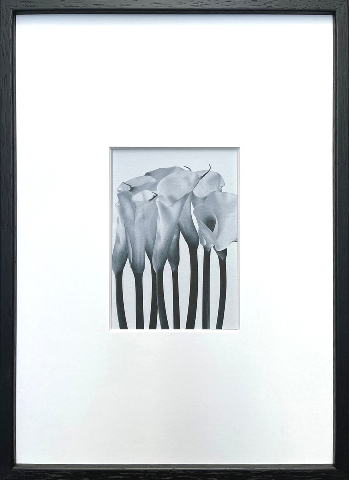 フォトグラフィ アート カラー Photography art カラー 275x382x20 snw-ipg-53259 アートパネル アートボード 壁紙 装飾フィルム 送料無料 北欧 モダン 家具 インテリア ナチュラル テイスト 新生活 オススメ おしゃれ 後払い